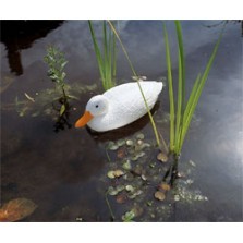 Plávajúca kačka biela