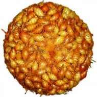 Cibu�a sadza�ka V�ETANA 8-21mm r�zne balenie