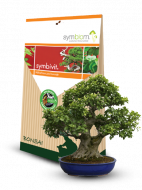 Symbivit Bonsai 150g